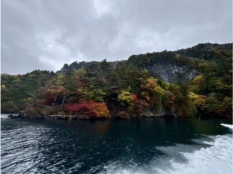 グリランド のギャラリー