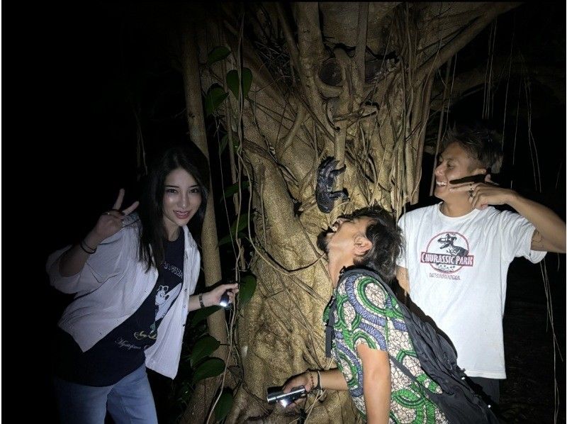 元気玉 のギャラリー