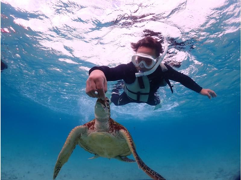 宮古blueまほろば のギャラリー