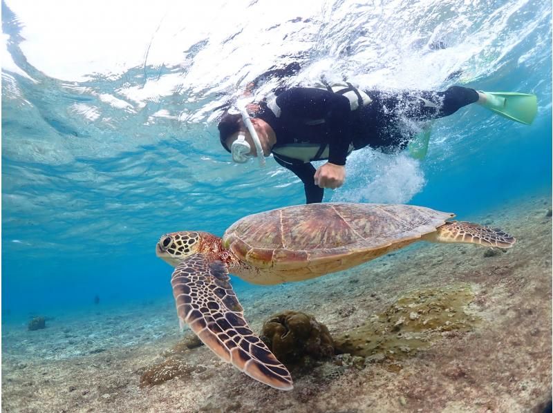 宮古blueまほろば のギャラリー