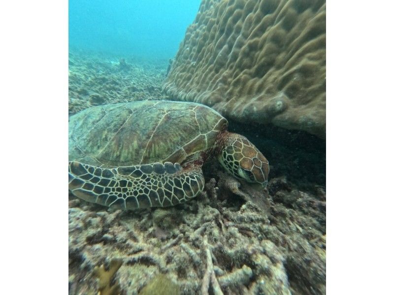 宮古島 ADVENTURE PiPi（ピピ） のギャラリー