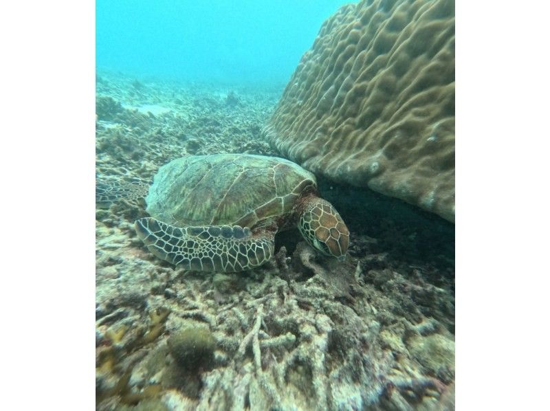 宮古島 ADVENTURE PiPi（ピピ） のギャラリー