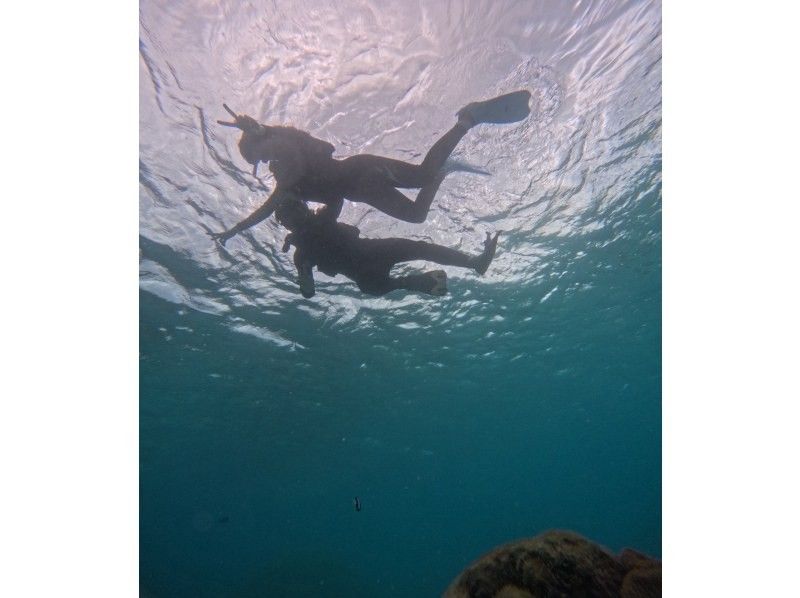 宮古島 ADVENTURE PiPi（ピピ） のギャラリー