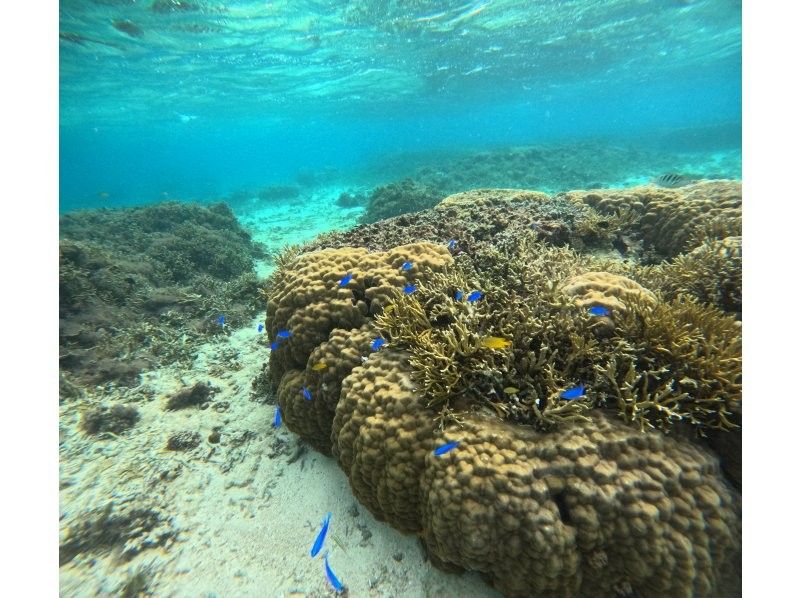 沖縄マリンクラブ結 のギャラリー