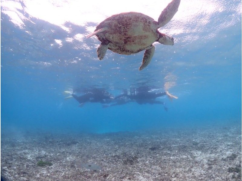 宮古島マリン ふらこぶ のギャラリー