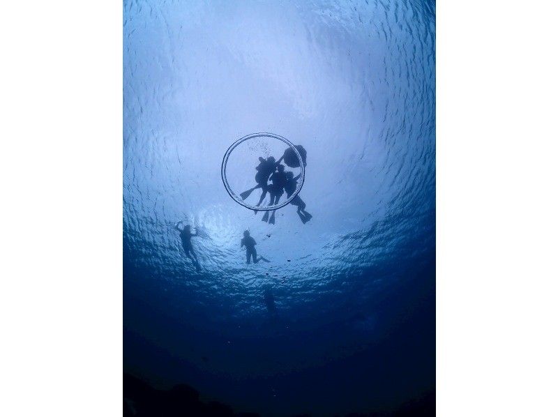 宮古島マリン ふらこぶ のギャラリー