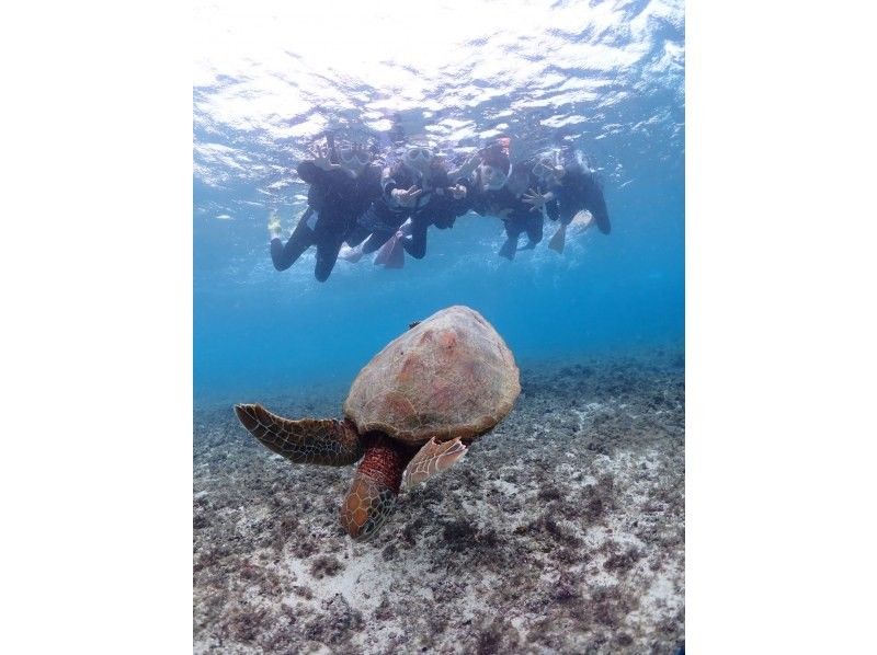 宮古島マリン ふらこぶ のギャラリー