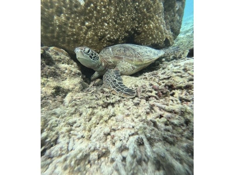 宮古島 ADVENTURE PiPi（ピピ） のギャラリー