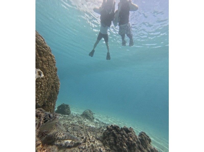 宮古島 ADVENTURE PiPi（ピピ） のギャラリー