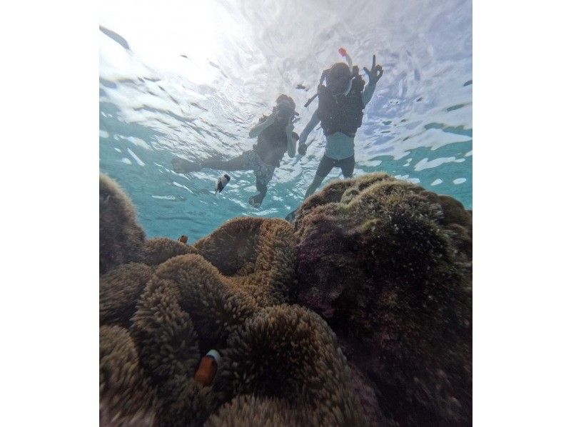 宮古島 ADVENTURE PiPi（ピピ） のギャラリー