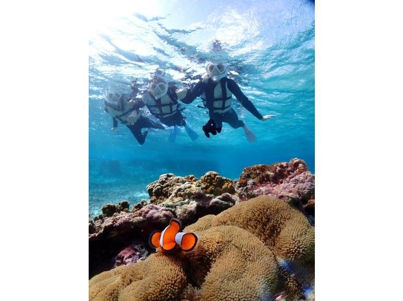 宮古blueまほろば のギャラリー