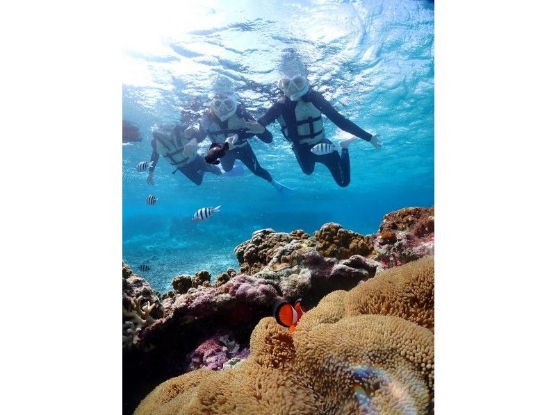 宮古blueまほろば のギャラリー