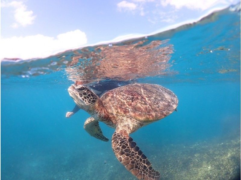 宮古blueまほろば のギャラリー