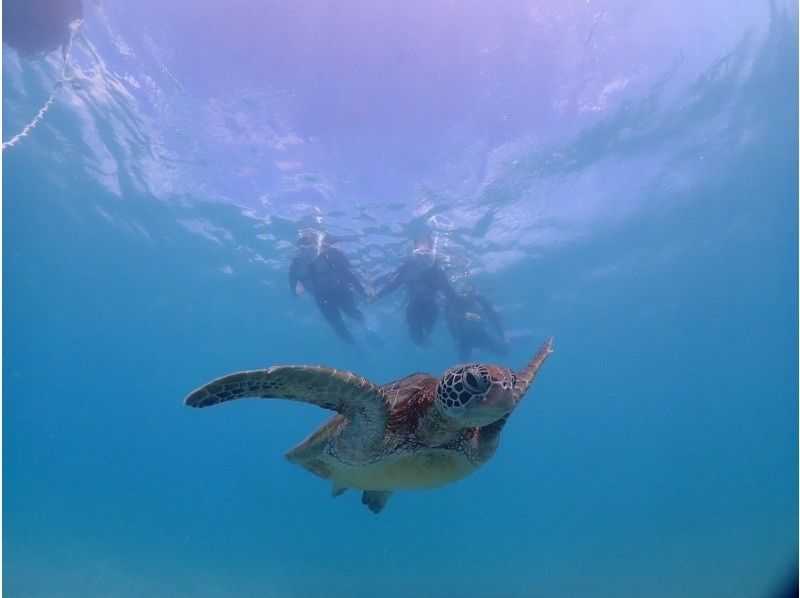 宮古blueまほろば のギャラリー