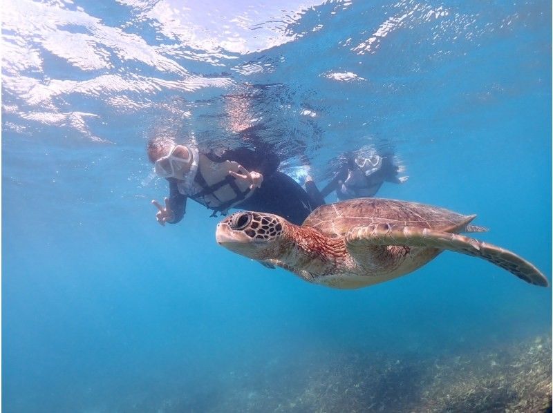 宮古blueまほろば のギャラリー