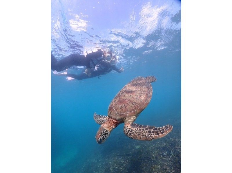 宮古blueまほろば のギャラリー