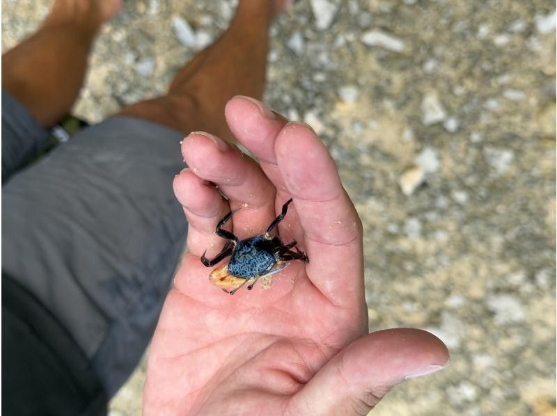 縄文トライブス　宮古島 のギャラリー