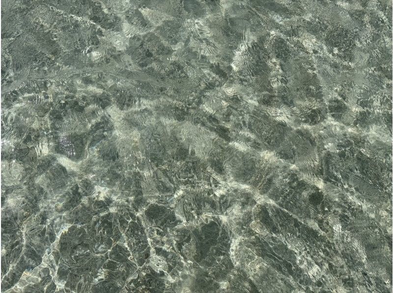 縄文トライブス　宮古島 のギャラリー