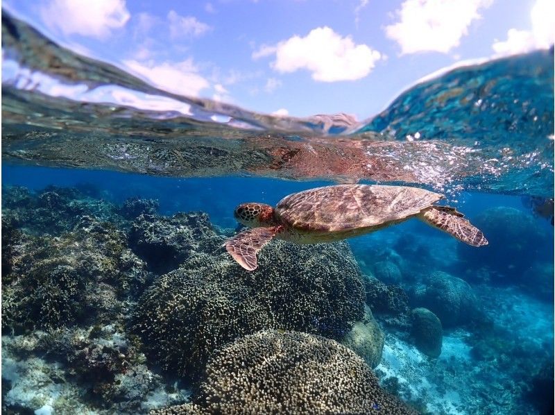 宮古blueまほろば のギャラリー