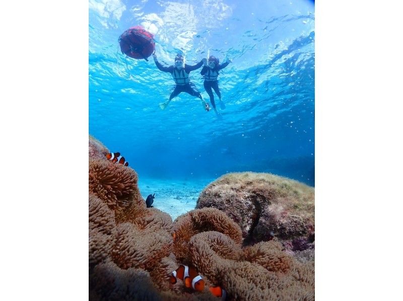 宮古blueまほろば のギャラリー