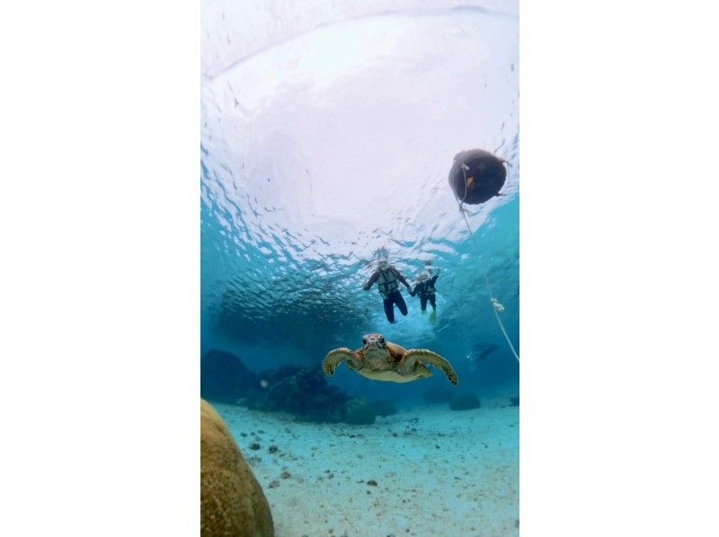 nico 宮古島 のギャラリー