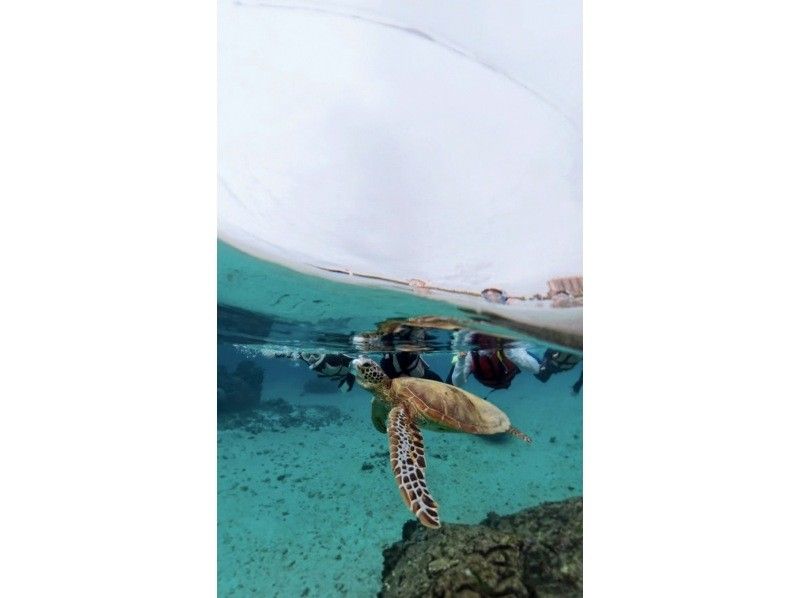 nico 宮古島 のギャラリー