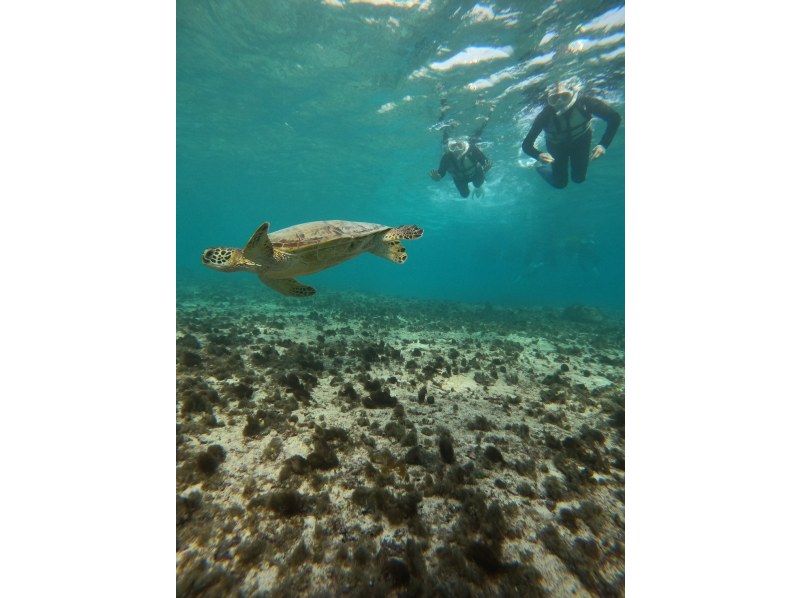 宮古島マリン SUGAR3 のギャラリー