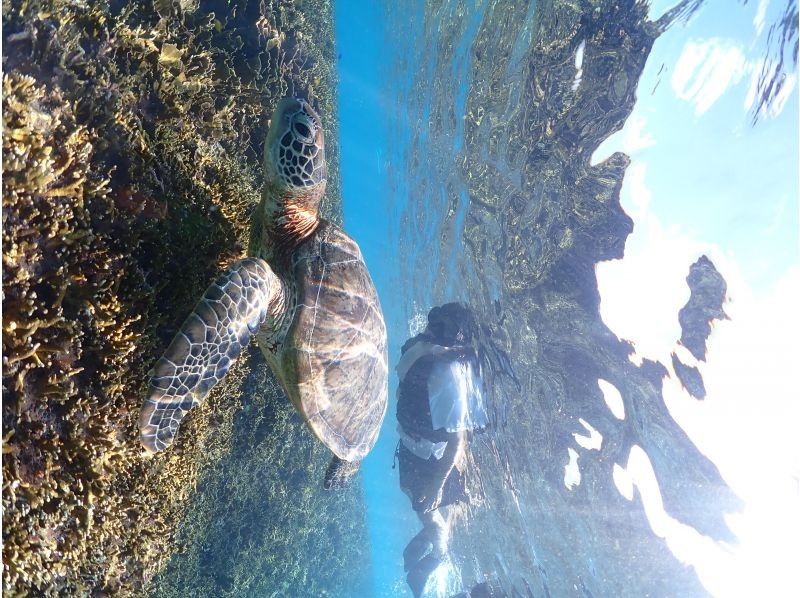 Nami宮古島 のギャラリー