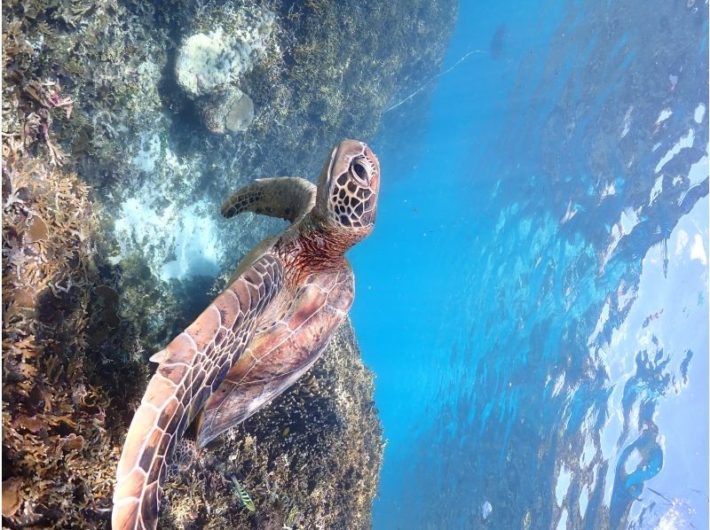 Nami宮古島 のギャラリー