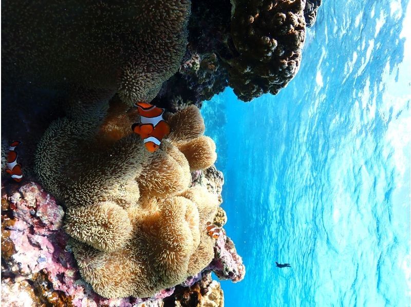 Nami宮古島 のギャラリー