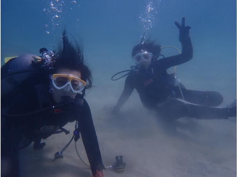 春夏秋冬フォーシーズンズ のギャラリー