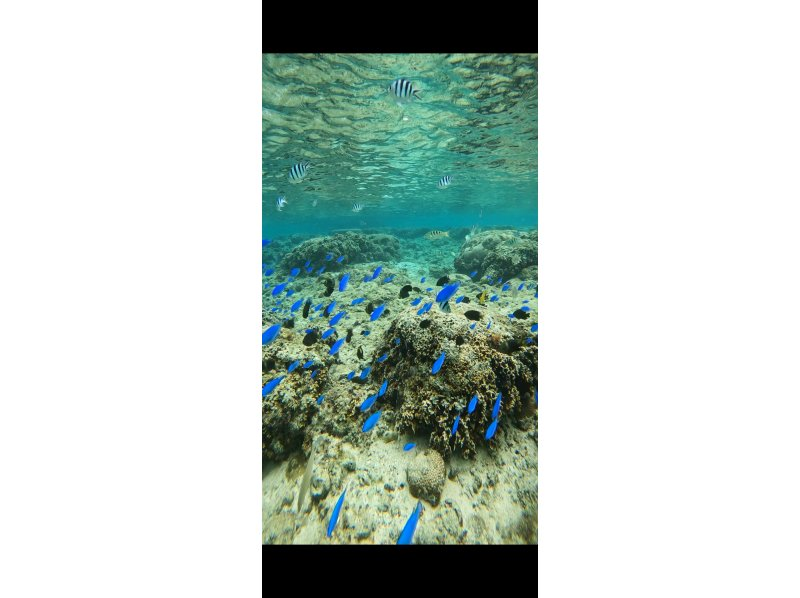 Bal field（バルフィールド） のギャラリー