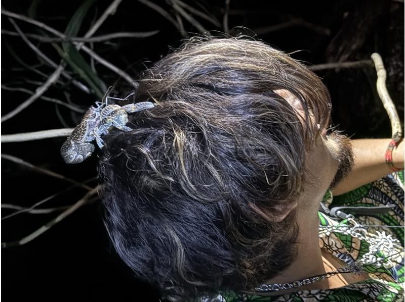 元気玉 のギャラリー