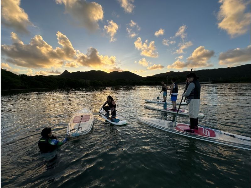 まるまりん のギャラリー