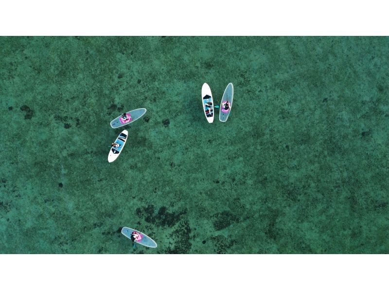 まるまりん のギャラリー