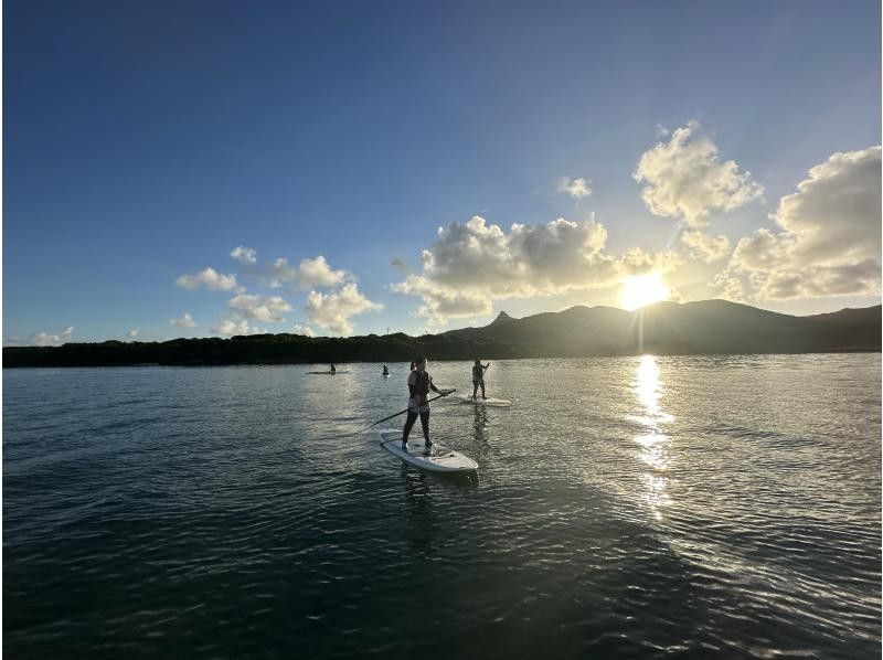 まるまりん のギャラリー