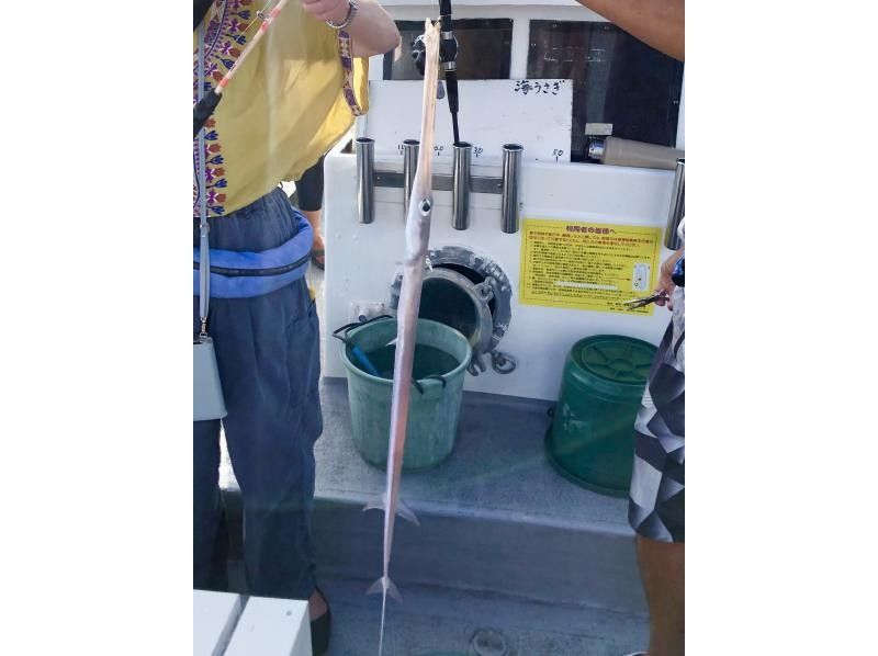 沖縄海うさぎ・海あしび のギャラリー