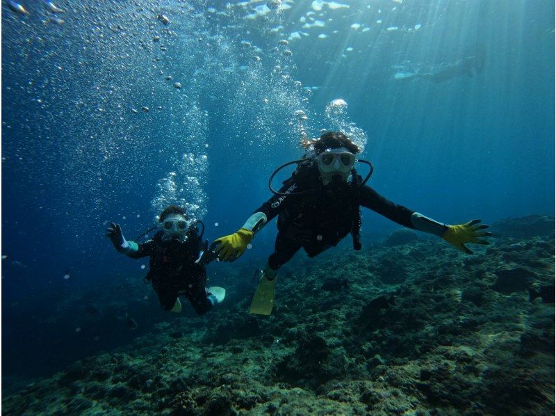 武藤潜水 のギャラリー