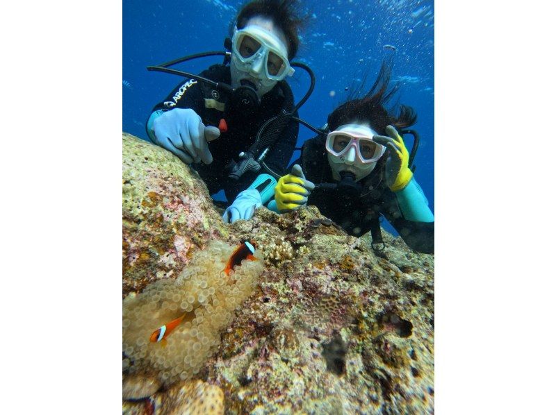 武藤潜水 のギャラリー