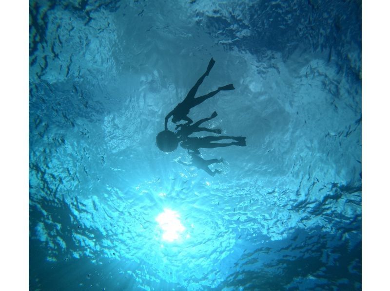 Diving Shop Lei のギャラリー