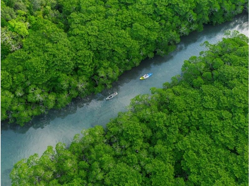 石垣島アクティビティクラブ のギャラリー