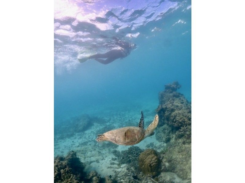 nico 宮古島 のギャラリー