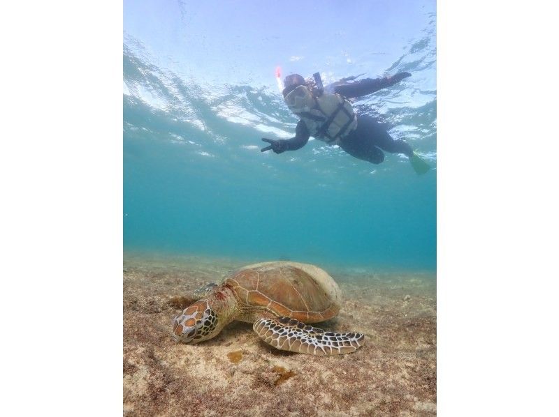 nico 宮古島 のギャラリー