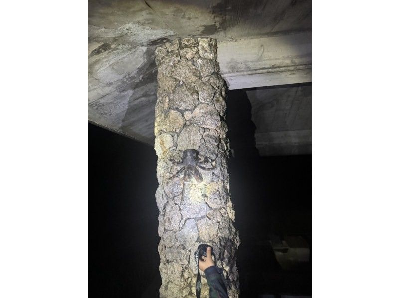 Nami宮古島 のギャラリー