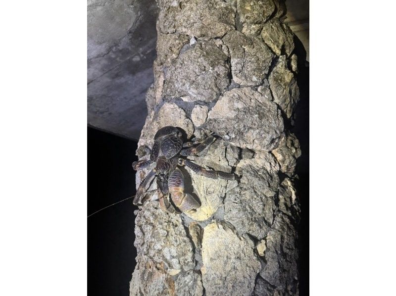 Nami宮古島 のギャラリー