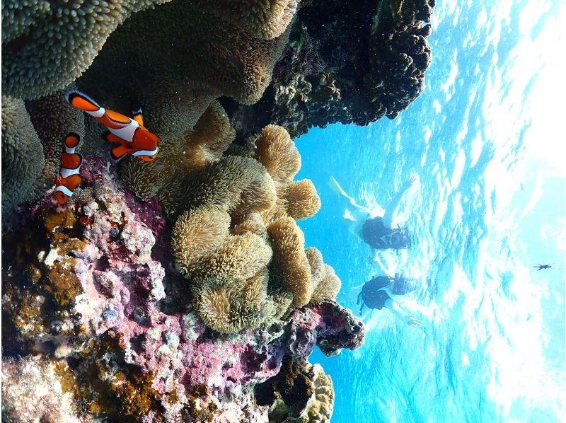 Nami宮古島 のギャラリー