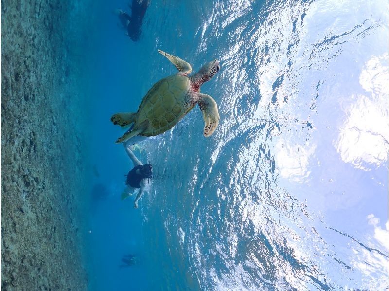 Nami宮古島 のギャラリー