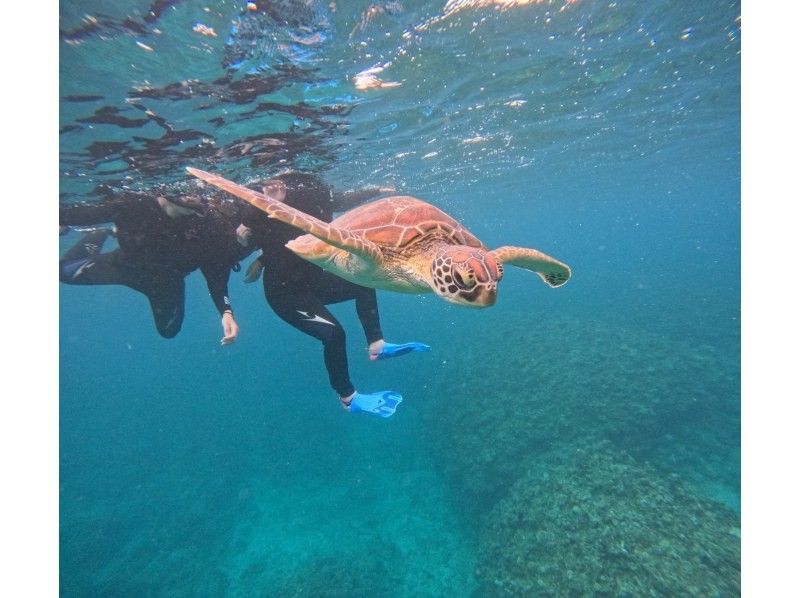 マーレ石垣島 のギャラリー