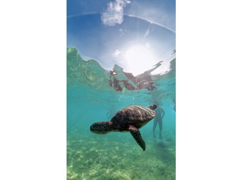 nico 宮古島 のギャラリー