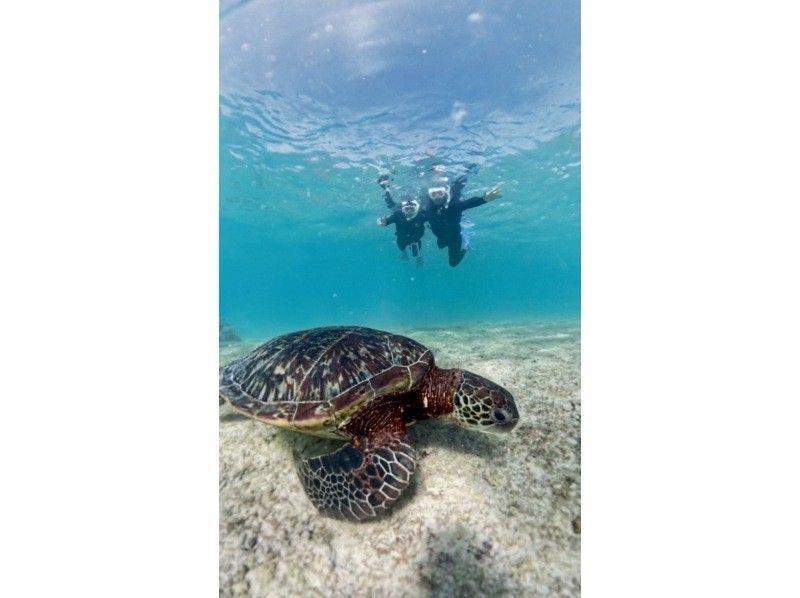 nico 宮古島 のギャラリー